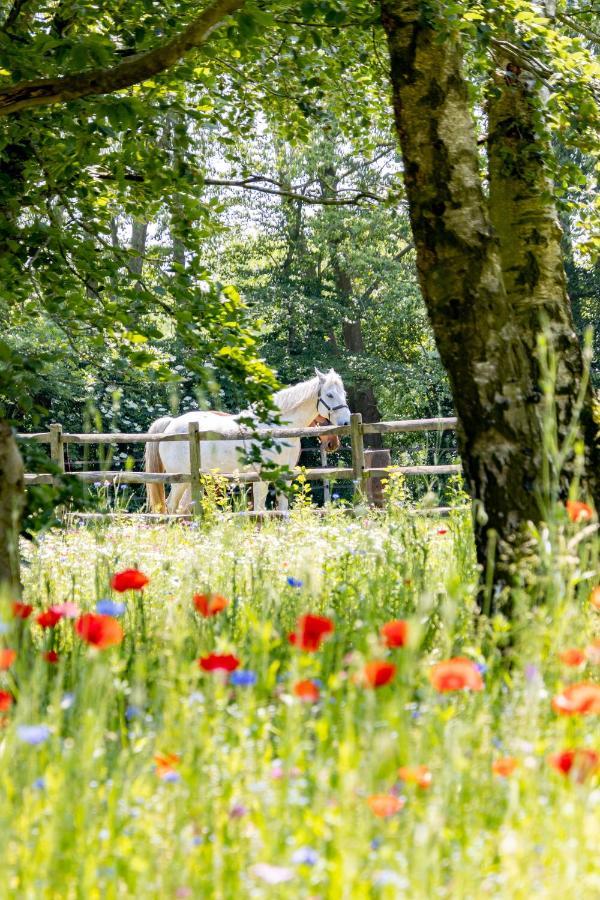 Equilodge 'T Blommeke - Reconnect With Nature Bruges Exterior photo